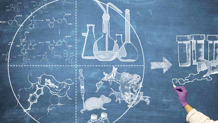 phd medicinal chemistry germany